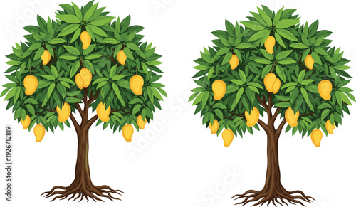 Two Tropical Mango Trees with Lush Green Leaves and Ripe Yellow Fruits Featuring Detailed Roots for Agriculture Farming Orchard Nature and Organic Food Illustration
