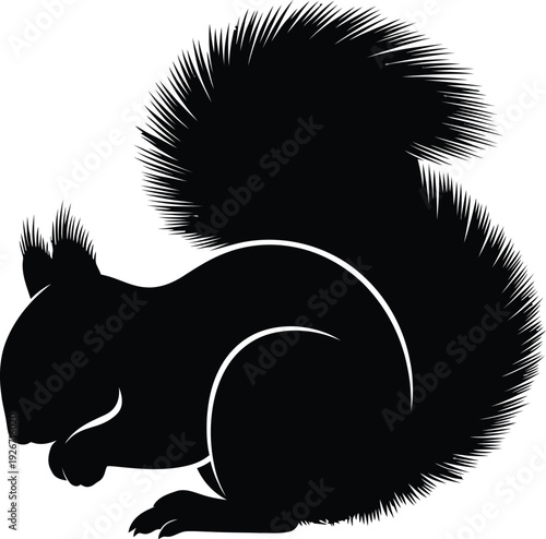 Cute squirrel holding a nut on a white background in black vector illustration style
