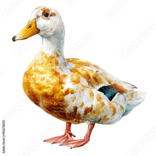 Peking Duck, watercolor illustration, vector style, isolated on a white background.