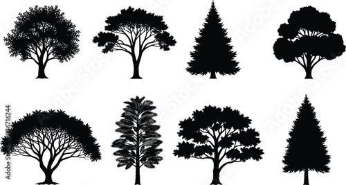 Tree silhouettes collection isolated, forest botanical set with pine and broadleaf trees, black nature vector illustration, landscape design elements pack
