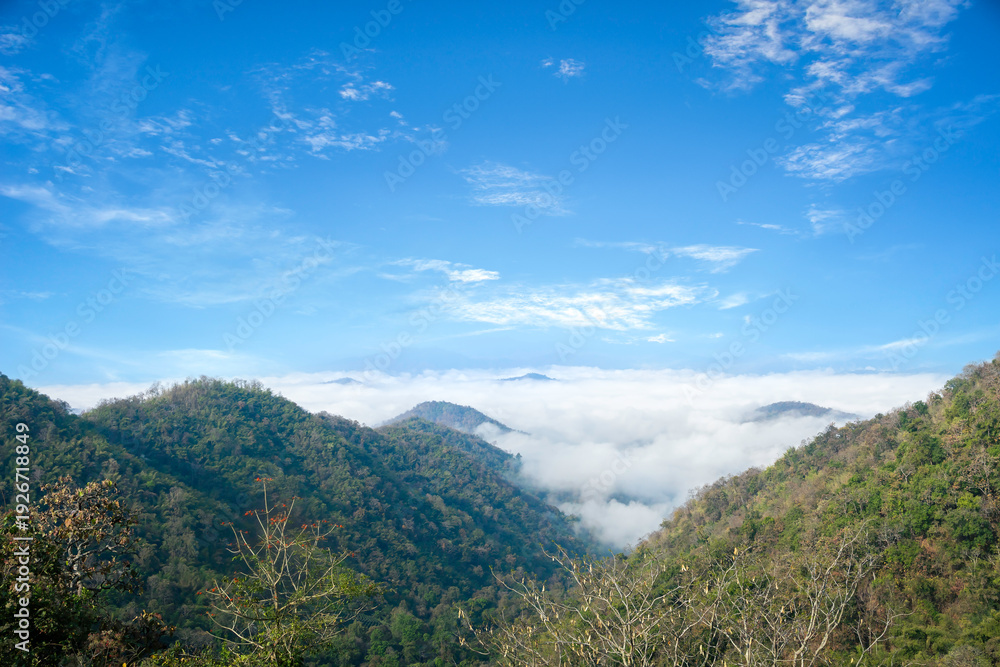 Obraz premium Mountain landscape with fog with blue sky in the morning at Chiang Mai, Thailand