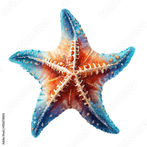 Starfish Head in watercolor painting style, vector illustration on white background.