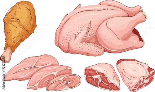Various Cuts of Chicken Including Drumstick, Whole Chicken, and Breasts for Food and Cooking Designs