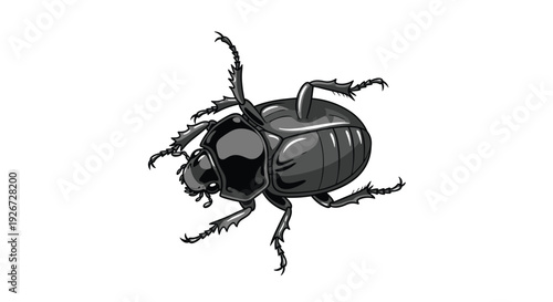 A detailed black beetle with a shiny shell and segmented legs is shown from a top-down perspective on white.