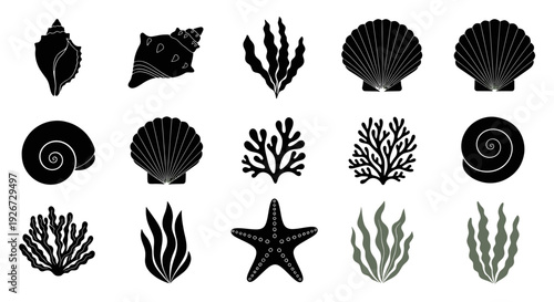 Ocean Life Icons: Seashells, Coral, Seaweed, Starfish - Black & White Silhouette