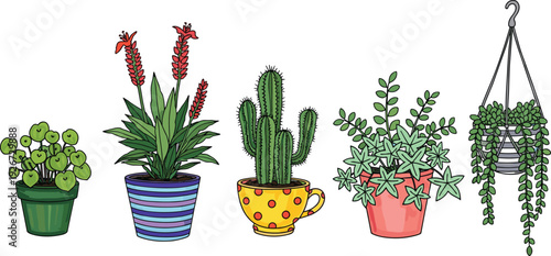 Colorful Cartoon Illustration of Various Houseplants in Decorative Pots Featuring a Cactus Flowering Plant and Trailing Greenery for Indoor Gardening and Home Decor Design