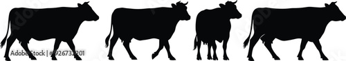 Black silhouettes of four cows walking on white background