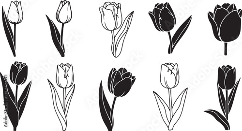 A collection of black and white tulip silhouettes on a white background.