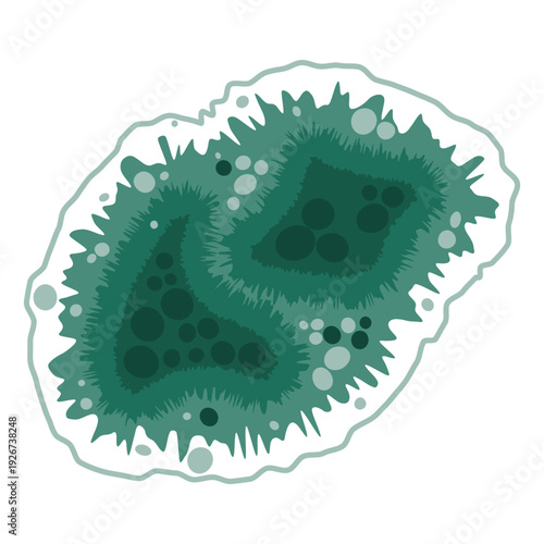 Green mold fungus spot growing on wet house wall. Mildew fungal spores under the microscope. Vector illustration