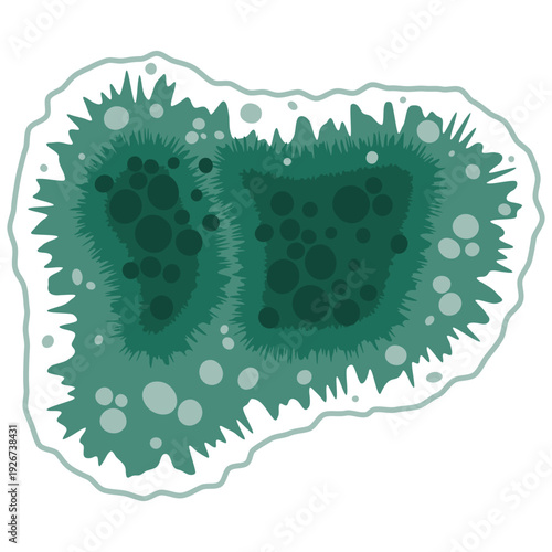 Green mold fungus spot growing on wet house wall. Mildew fungal spores under the microscope. Vector illustration