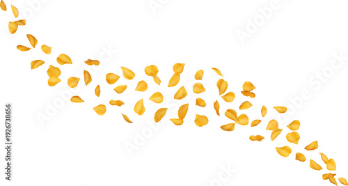 Falling Orange Camellia Flower Petals