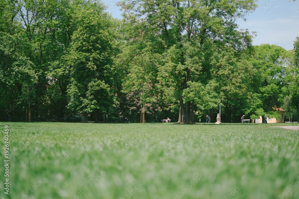 Obraz premium 프라하 유럽 여행