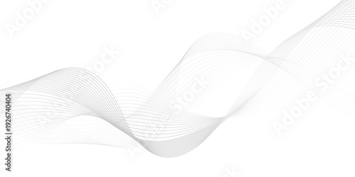 White wave curve lines banner background design. Abstract soft wave lines dynamic flowing gray light isolated background. Vector Illustration of the gray pattern of lines. Black stripes on white .