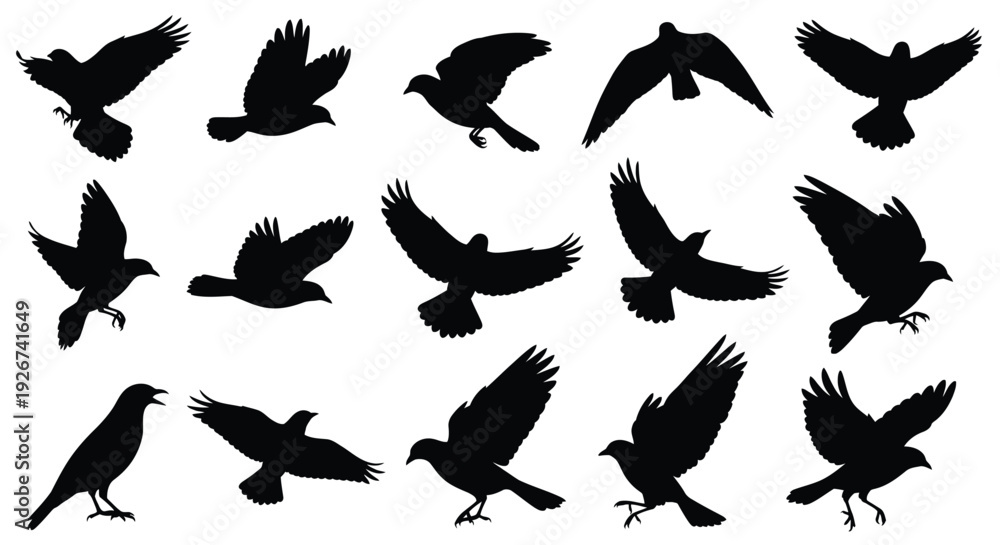 Obraz premium Diverse collection of birds in various flight poses black silhouette