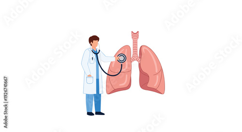 A male doctor in a white lab coat uses a stethoscope to examine a large pink anatomical diagram of human lungs on a white background.