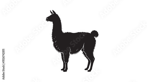 Llama silhouette standing in profile, black animal shape isolated on white background, minimalist vector style illustration featuring alpaca, mammal, camelid with livestock and wildlife elements for