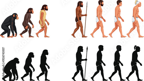 Human Evolution Illustration from Early Ancestors to Modern Man in Color and Silhouette for Educational and Scientific Projects