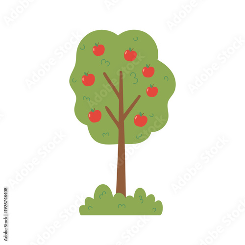 Vector Illustration of apple tree  isolated on white background