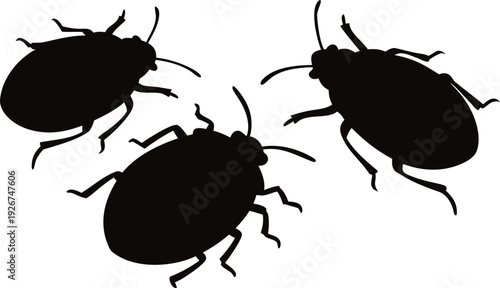Black silhouettes of three bugs on white background insects