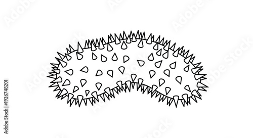 Spiky sea cucumber outline drawing on a plain white background, perfect for educational coloring book or aquatic life illustration projects.