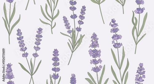 Seamless lavender flower botanical illustration pattern on light background