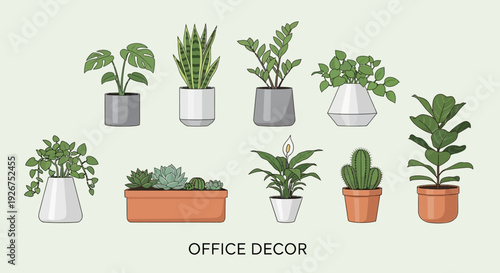 Indoor Potted Plants Collection with Modern Home Decor Greenery Including Hanging Planters, Succulents and Minimal Botanical Pots for Interior Decoration and Urban Jungle Lifestyle Concept
