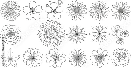 Set of hand drawn flower silhouettes and floral line art icons including roses daisies and sunflowers isolated on white background vector