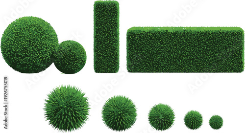 Green hedge and topiary bushes vector illustration set isolated landscaping elements for garden design and outdoor decoration