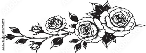 Black and white illustration of three roses with leaves and stems