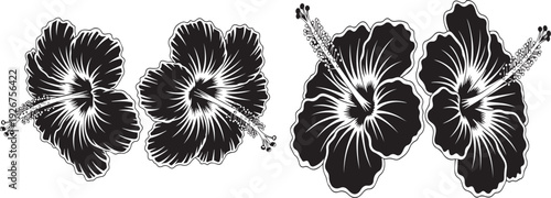 Abstract floral patterns in monochromatic style