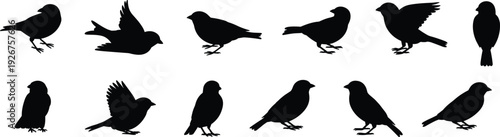 Black silhouettes of songbirds set, diverse small birds flying and perched, avian nature icons, sparrow or finch shapes isolated on white.