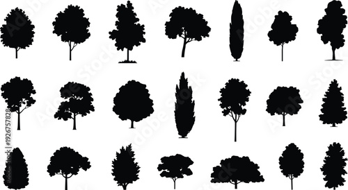 Black silhouettes of various trees set, deciduous and evergreen species, forest and park landscape elements isolated on white background panorama.