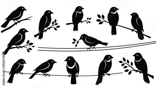 Large set of various black bird silhouettes perched on branches and wires with leaves and twigs on white background.