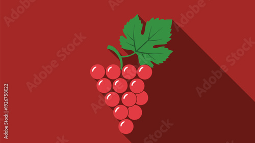 Stylized illustration of a bunch of red grapes with a single green leaf and a long shadow on a bright red background.