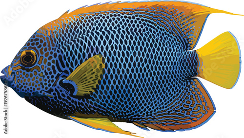 Colorful Tropical Fish Illustration with Detailed Scales and Fins, Exotic Marine Sea Life Animal Design in Vibrant Modern Vector Style