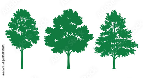 Three lush green trees displayed against a white background silhouette