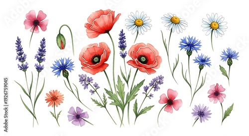 Watercolor wildflowers including poppies, lavender, daisies, and cornflowers.