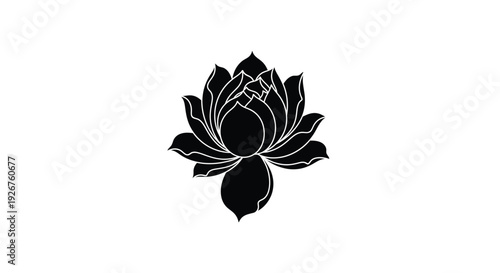 Various fried eggs and a black egg design a stylistic silhouette