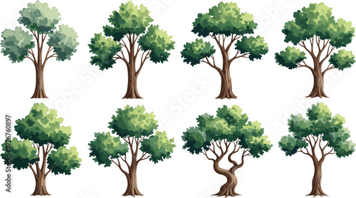 Vector set of green leafy deciduous trees isolated on white background, various tree shapes for landscape design and nature illustrations.