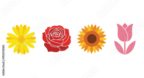 Collection of diverse black star shapes arranged on a white background silhouette