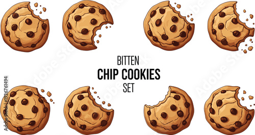 Vector set of bitten chocolate chip cookies with crumbs isolated on white background, crunchy sweet snacks for bakery and food design.