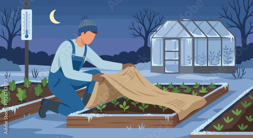 Gardener wearing a winter hat and overalls covers young plants with a burlap frost blanket in a snowy garden on a cold night with a thermometer showing freezing temperatures