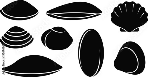Collection of elegant black shell silhouettes on white background