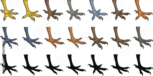 Bird Feet and Talon Icon Set Showing Claws in Different Colors and Silhouettes for Wildlife Anatomy, Education, Illustration, and Vector Design