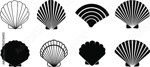 Collection of scallop shells in various styles and designs