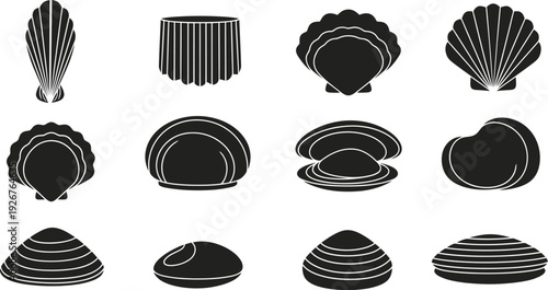 Collection of various clam and scallop shell silhouettes