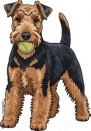 Welsh Terrier dog standing holding ball playful fetch illustration