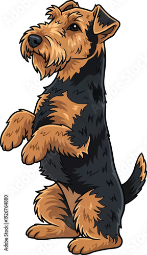 Welsh Terrier dog playful begging pose vector illustration