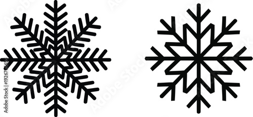 Two intricately designed black snowflakes on a white background showcasing unique symmetrical patterns