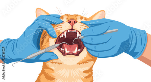 A veterinarian in blue gloves uses metal dental tools to check the teeth and mouth of an orange tabby cat against a white background.